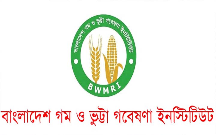 ৪৫ জনকে নিয়োগ দেবে গম ও ভুট্টা গবেষণা ইনস্টিটিউট
